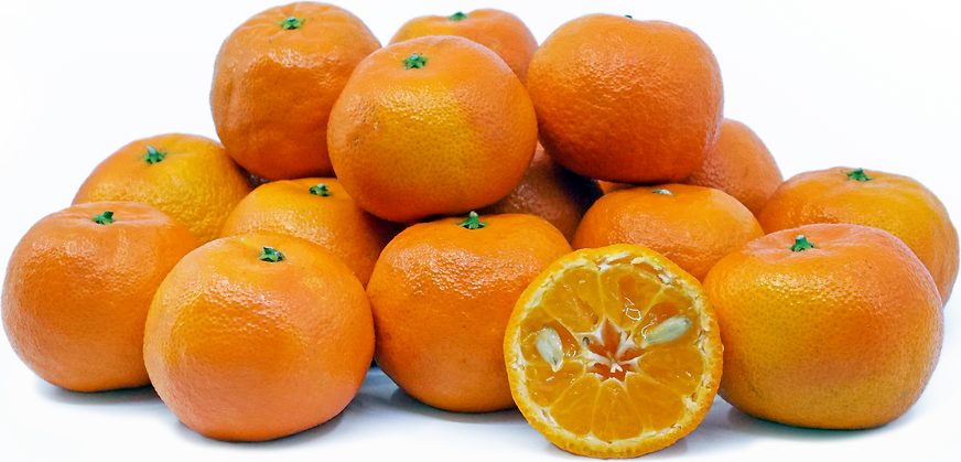 Algerian Tangerines picture