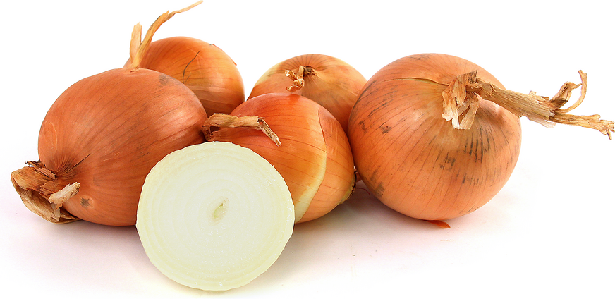 Yellow Onions picture