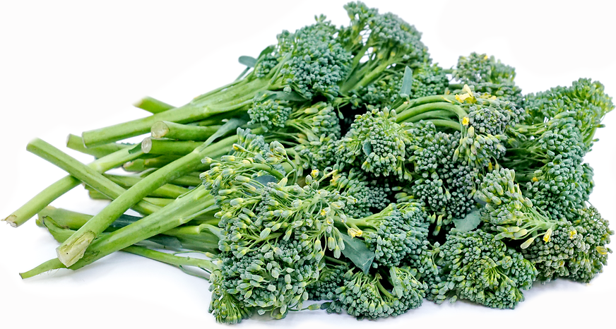 Baby Broccoli picture