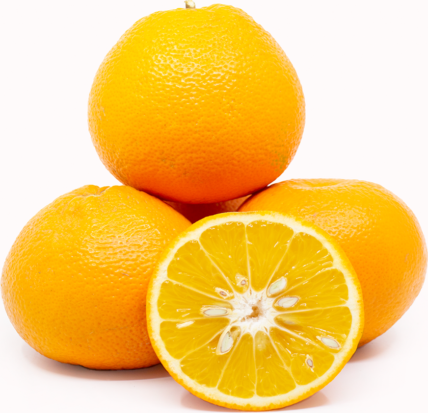 Navel Oranges picture