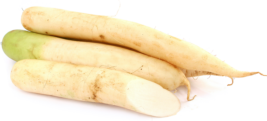 Daikon Radish picture