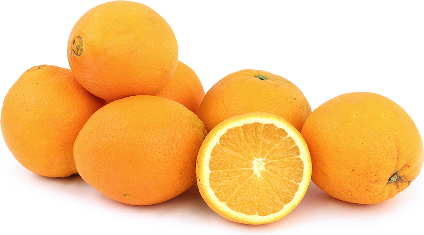 Navel Oranges picture