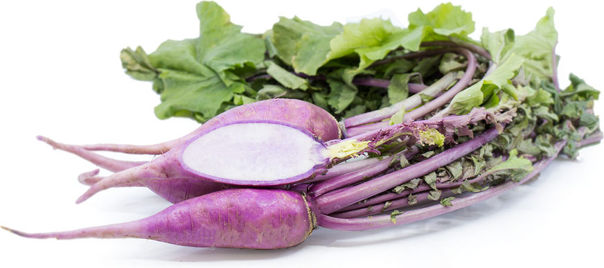 Purple Daikon Radish picture