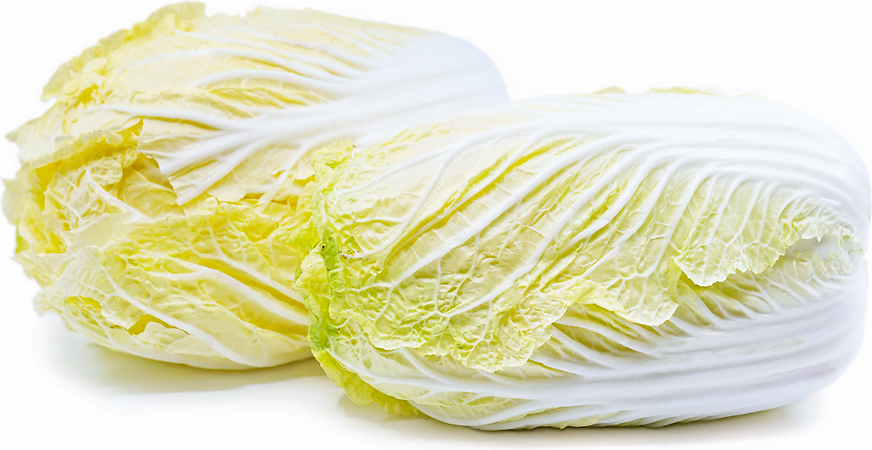 Napa Cabbage picture