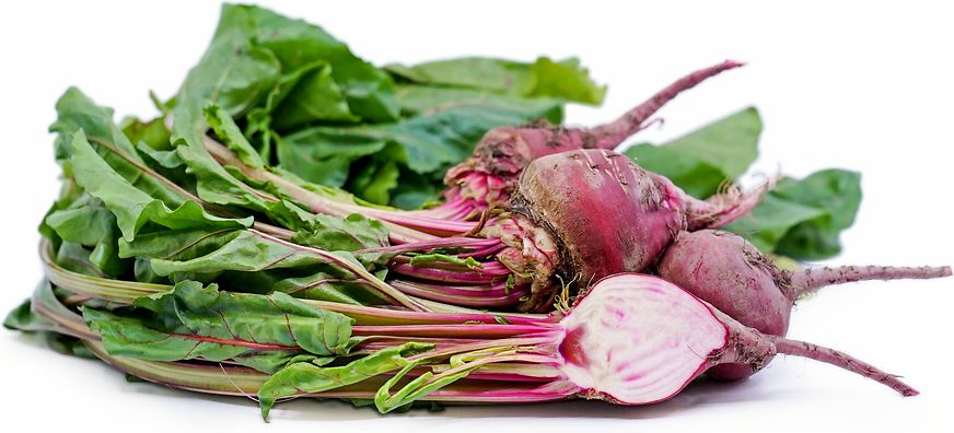 Chiogga Beets picture