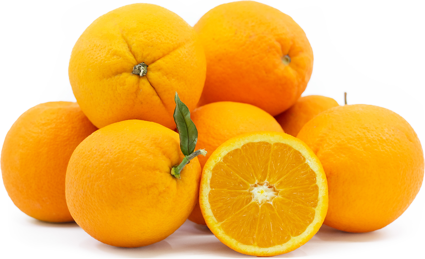 Fukumoto Navel Oranges picture
