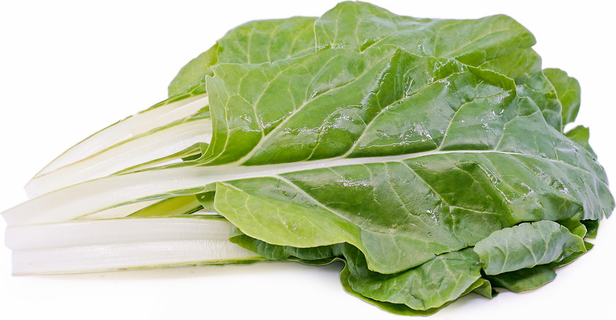 Argentata Swiss Chard picture
