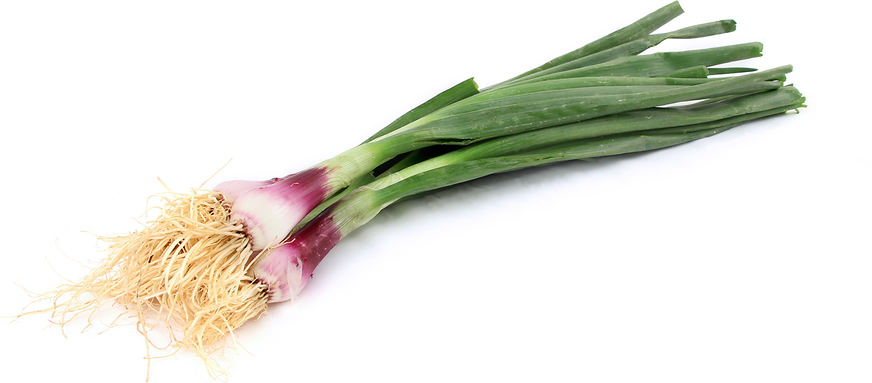 Red Spring Onion picture