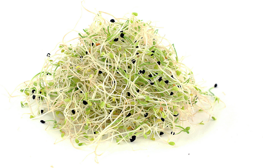 Sprts Onion Mix picture