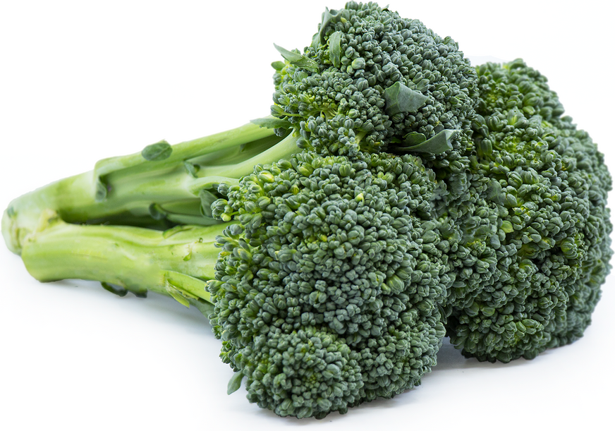 Broccolini picture