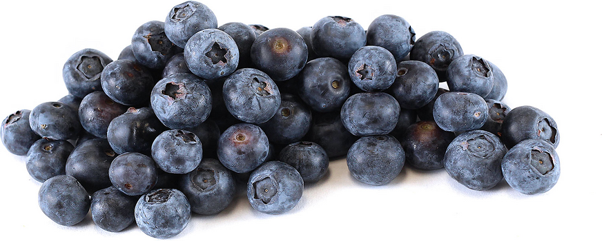 Blueberries picture