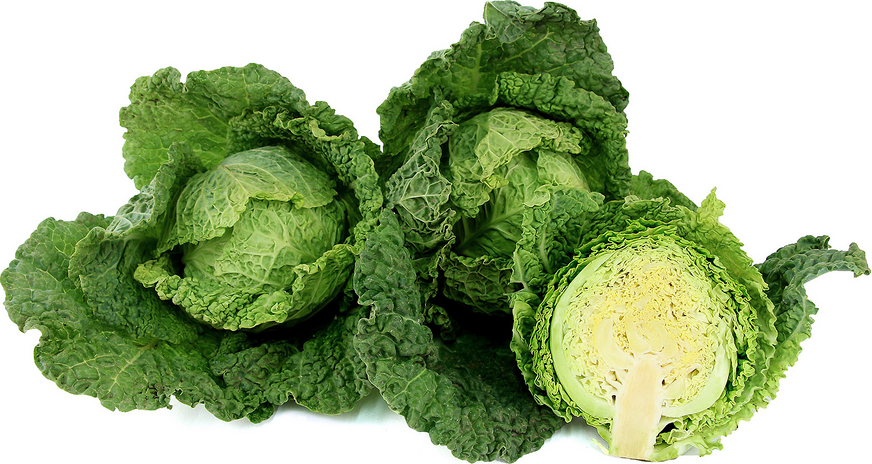 Savoy Cabbage picture