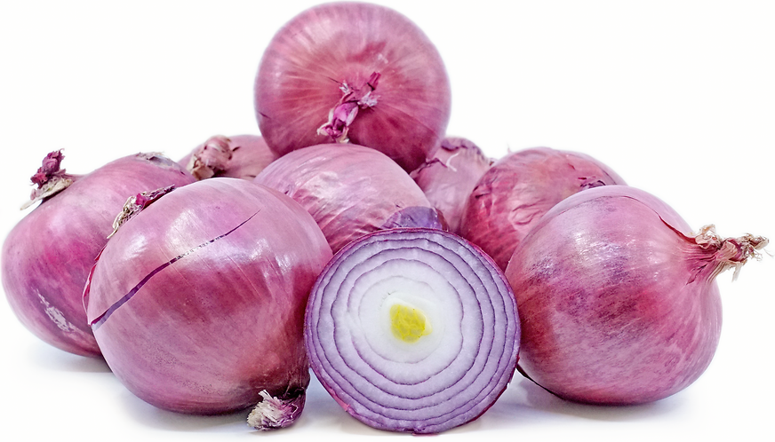 Red Onions picture