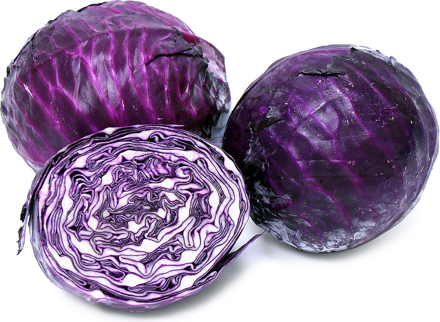 Organic Red Cabbage picture