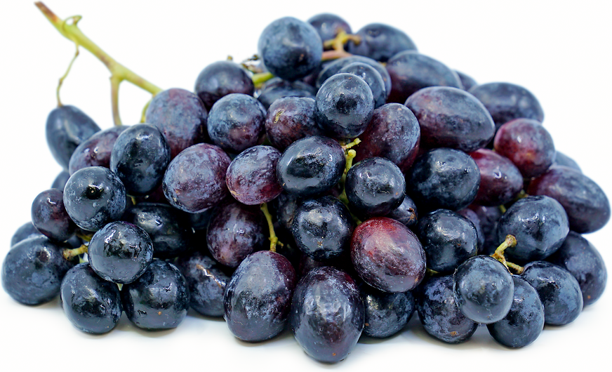 Black Seedless Grapes picture