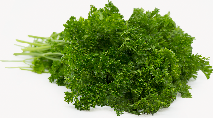 Organic Regular Parsley picture