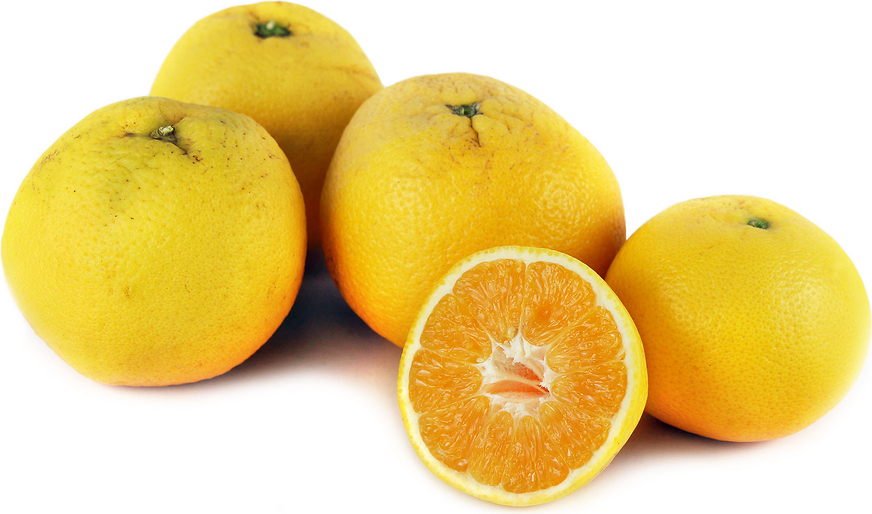 Organic Valencia Oranges picture