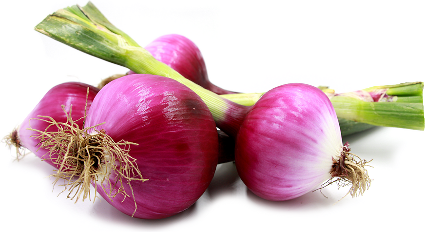 Red Onions picture