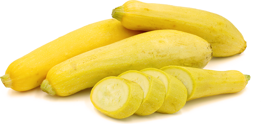 Yellow Squash picture
