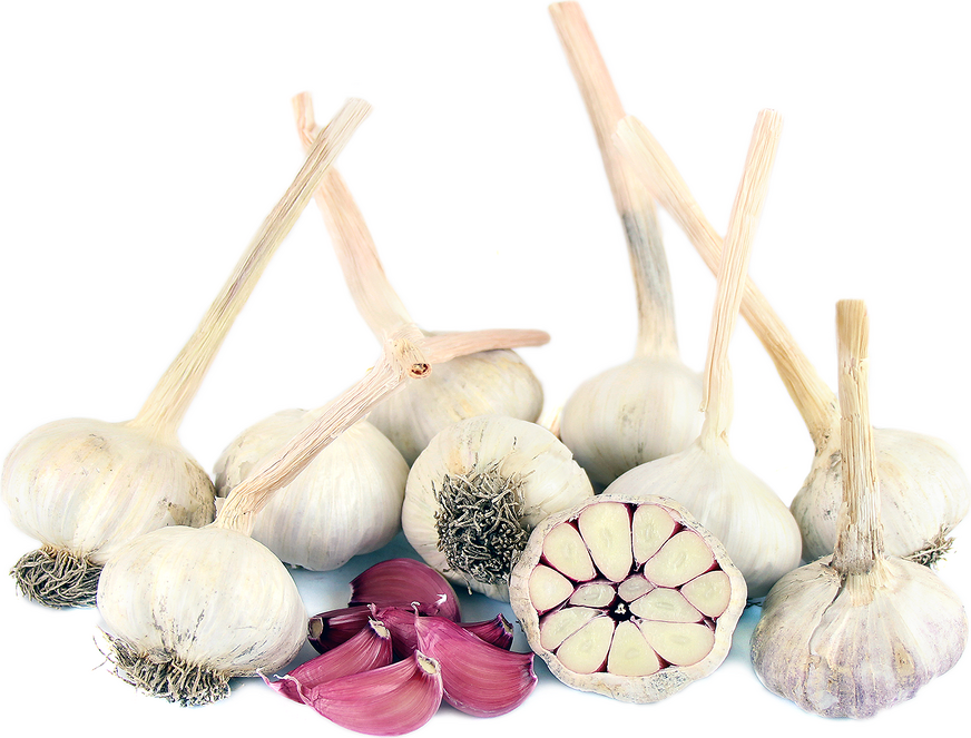 Red Sulmona Garlic picture