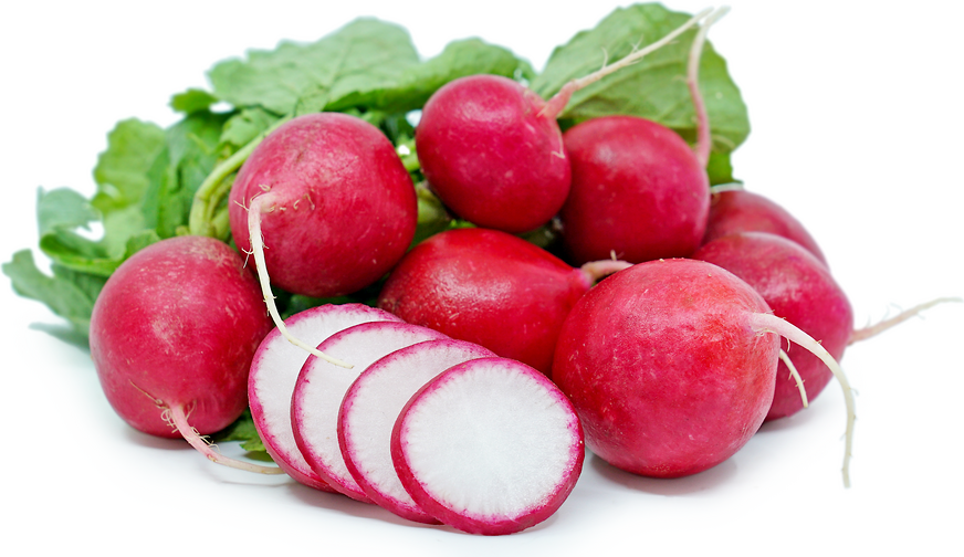 Red Radish picture