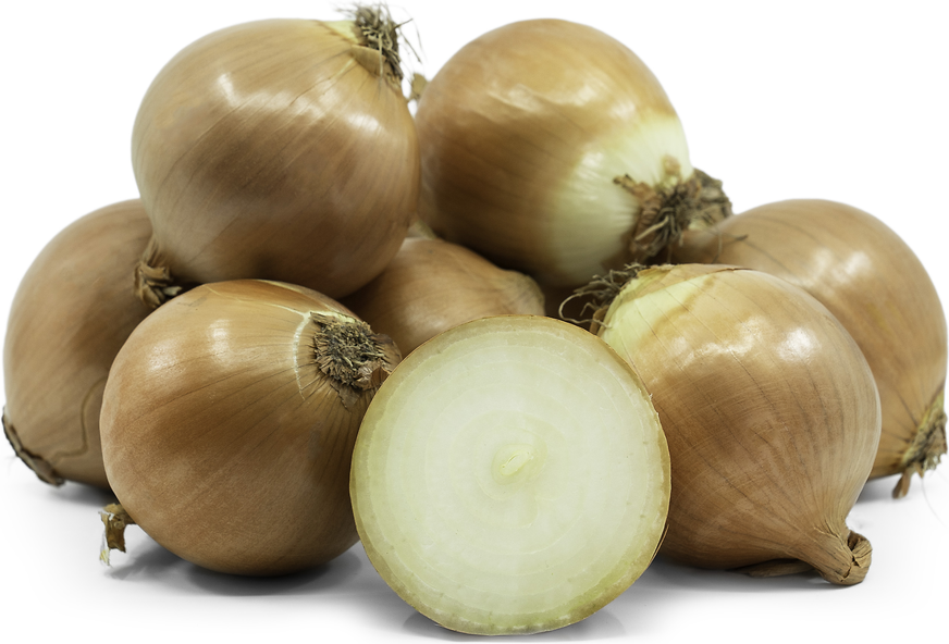 Walla Walla Onions picture