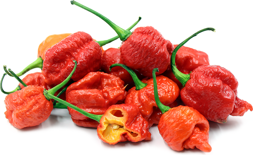 Carolina Reaper Chile Peppers picture.