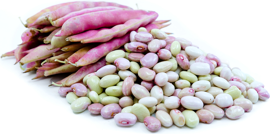 Flor de Mayo Shelling Beans picture