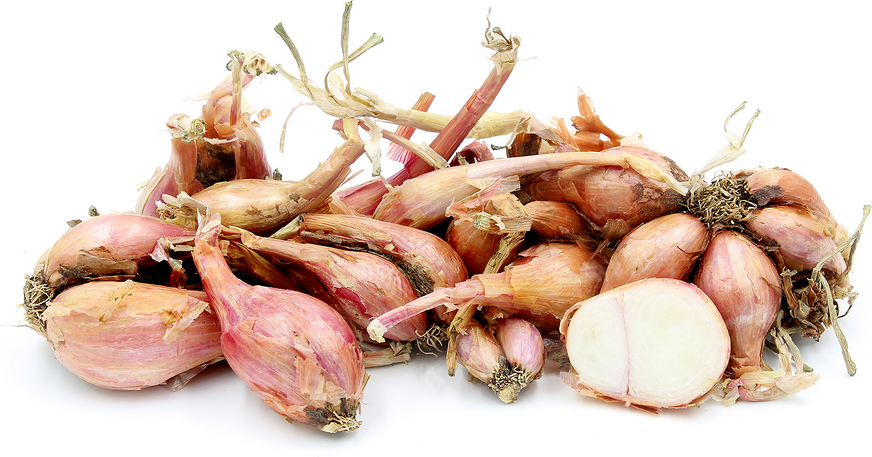 Red Shallots picture