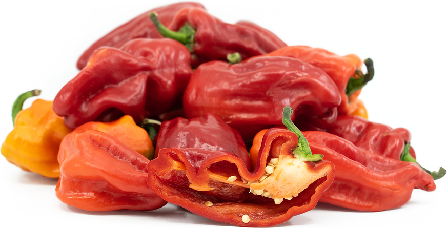 Aleppo Chile Peppers picture