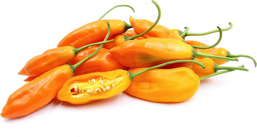 Aji Amarillo Peruano Chile Peppers picture