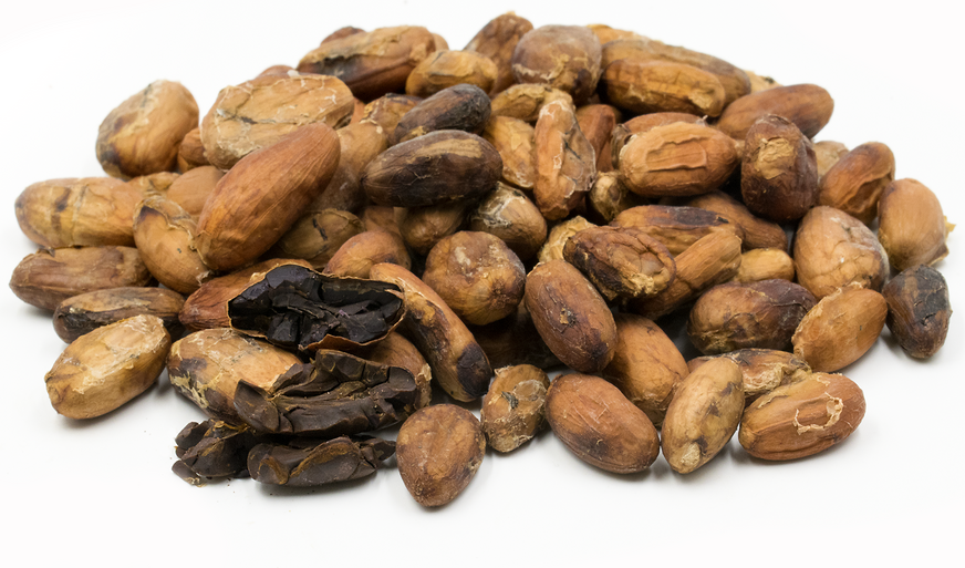 Cacao Beans picture