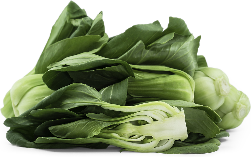 Shanghai Bok Choy picture