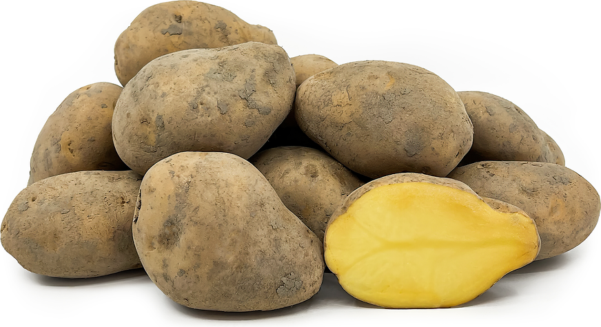 Agria Potatoes picture