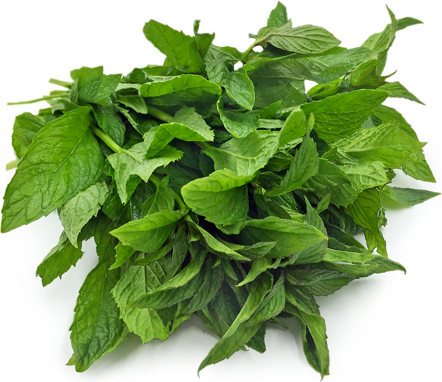 Wild Mint picture