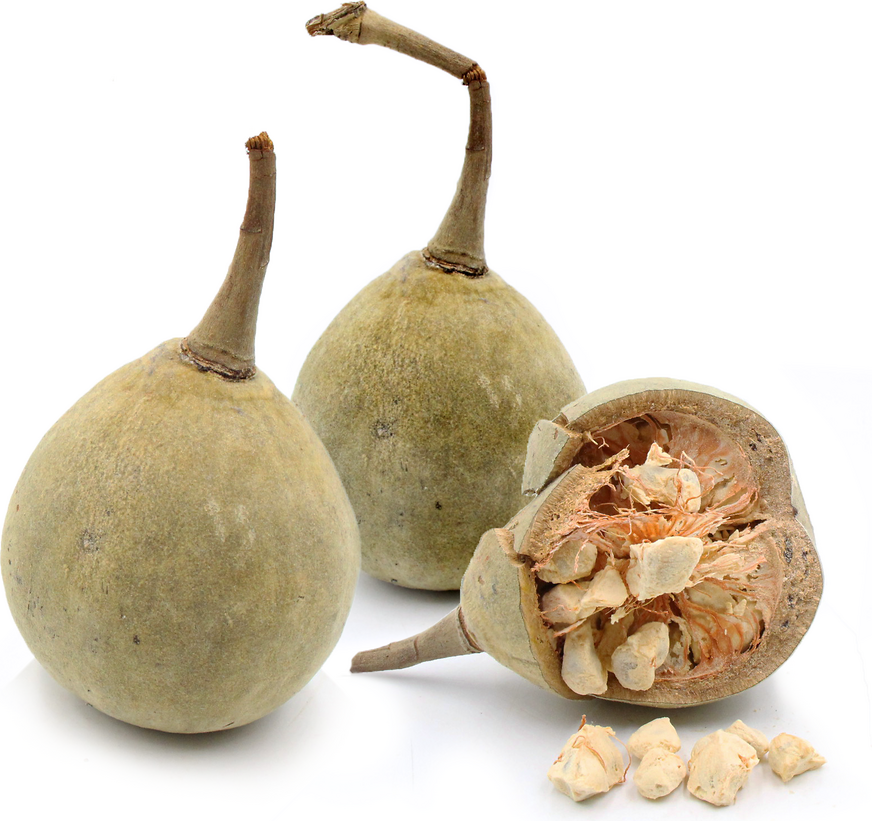 Baobab Fruit picture