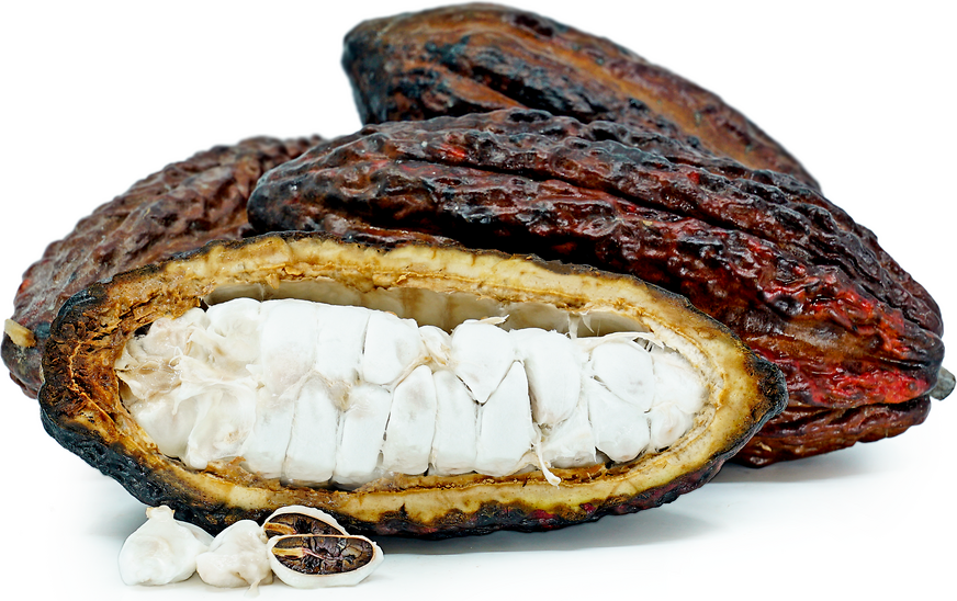 Cacao Pods picture