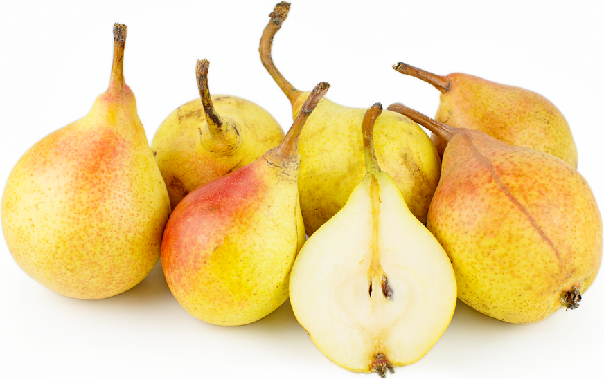Clapp's Favorite Pears picture