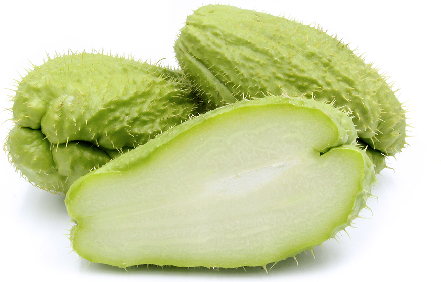 chayote squash