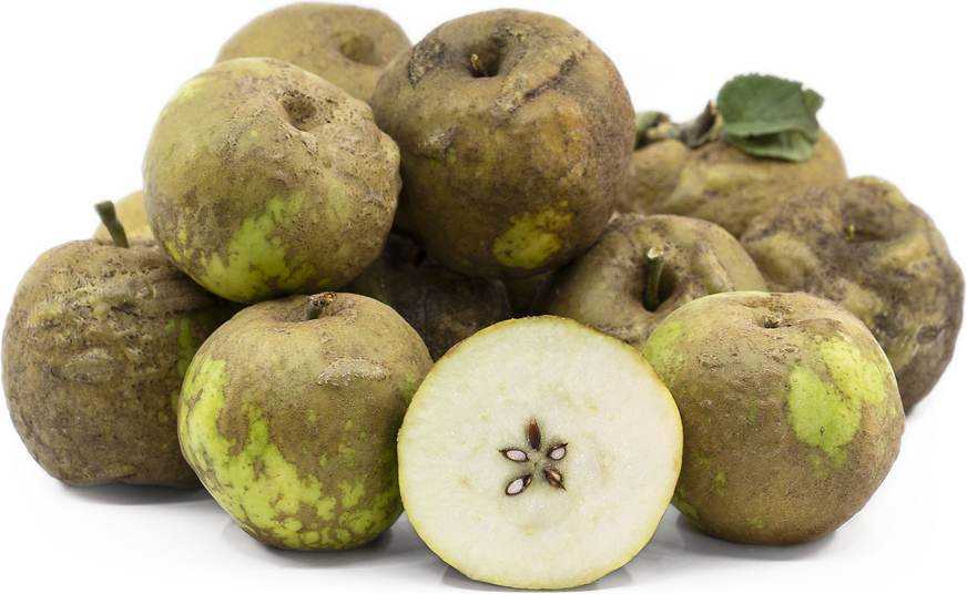 Knobby Russet Apples picture