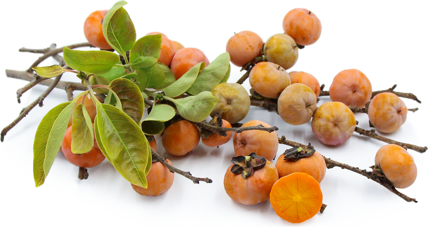 American Persimmons picture