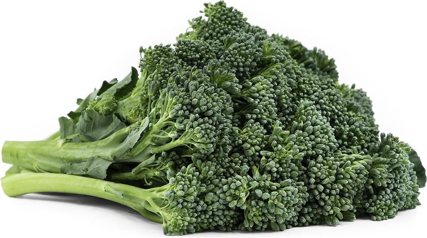 Baby Broccoli picture