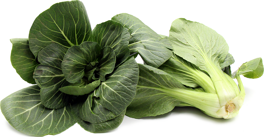 Pac Choi picture