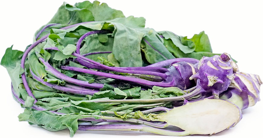 Purple Kohlrabi picture