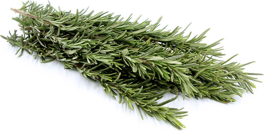 Rosemary picture