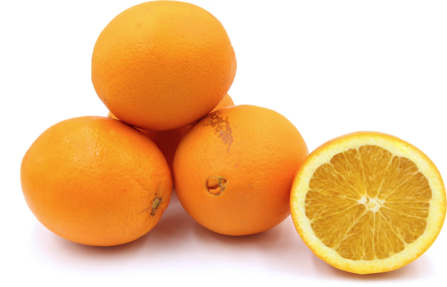 Navel Oranges picture