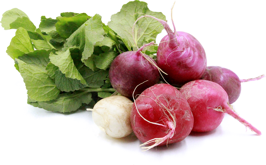 Easter Egg Radish picture