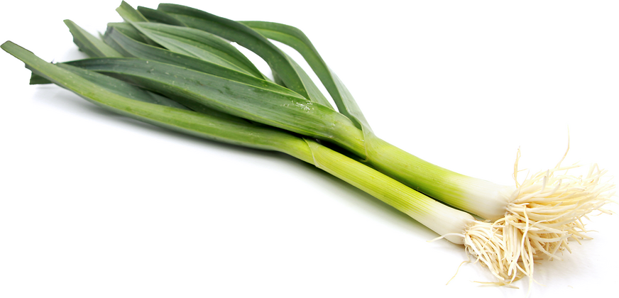 French Leeks picture