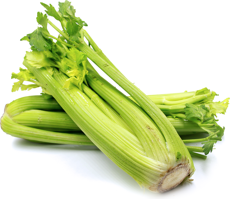 Celery picture.