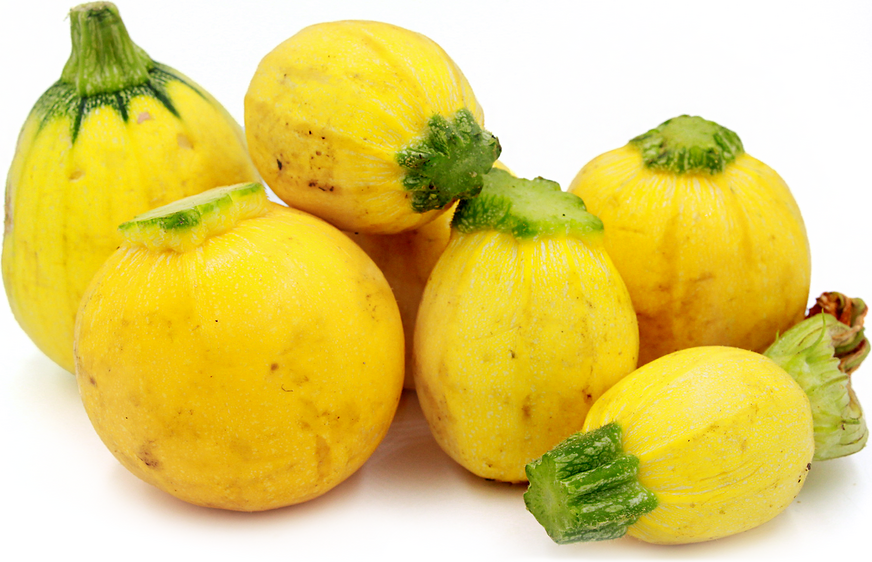 Yellow Eightball Squash picture